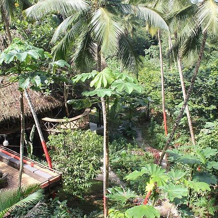Dominican Tree House Village Santa Barbara De Samana Εξωτερικό φωτογραφία