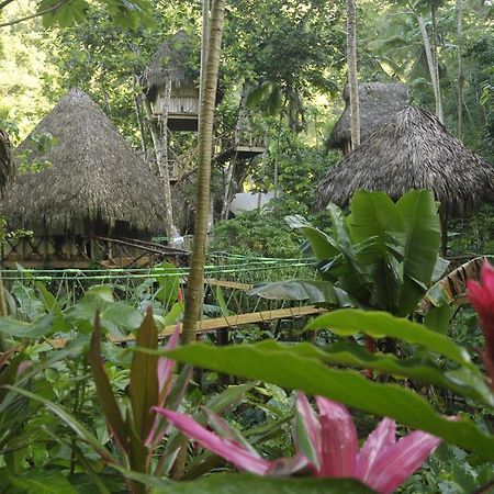 Dominican Tree House Village Santa Barbara De Samana Εξωτερικό φωτογραφία
