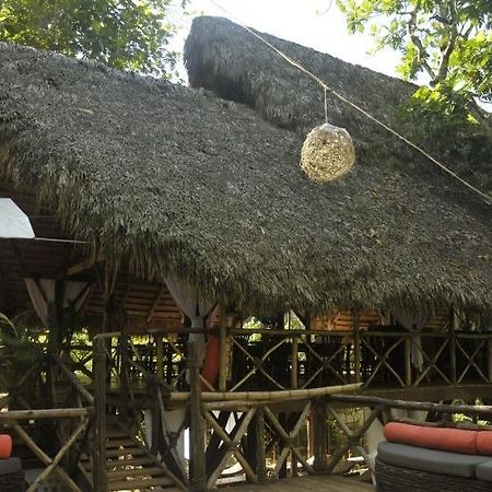Dominican Tree House Village Santa Barbara De Samana Εξωτερικό φωτογραφία