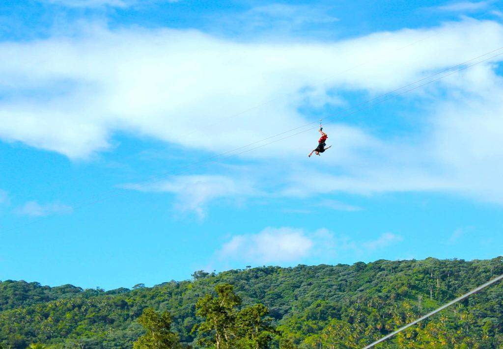 Dominican Tree House Village Santa Barbara De Samana Εξωτερικό φωτογραφία