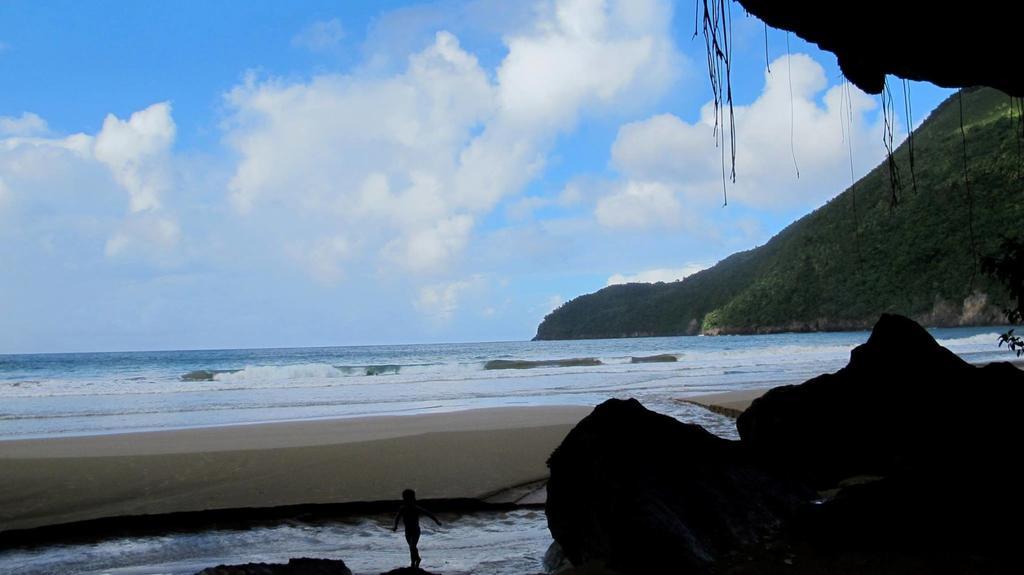 Dominican Tree House Village Santa Barbara De Samana Εξωτερικό φωτογραφία