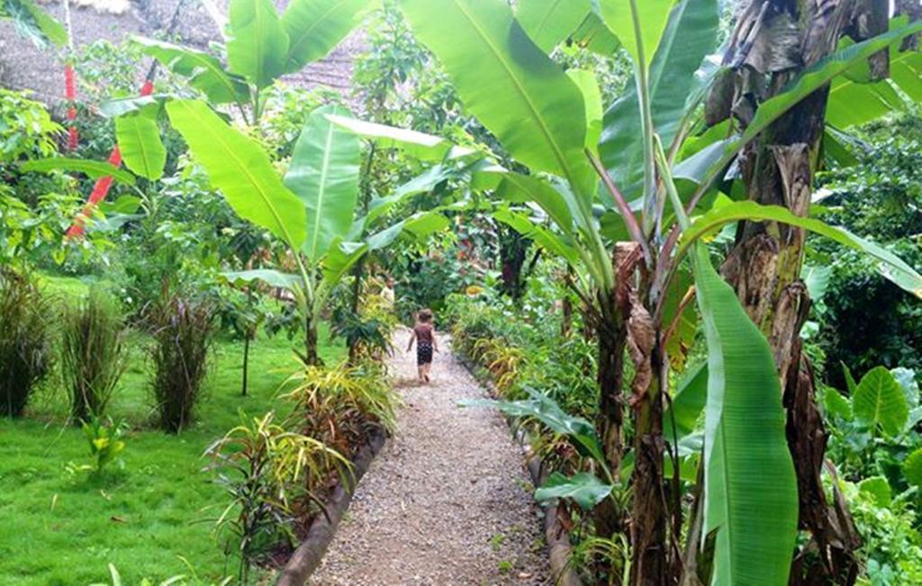 Dominican Tree House Village Santa Barbara De Samana Εξωτερικό φωτογραφία