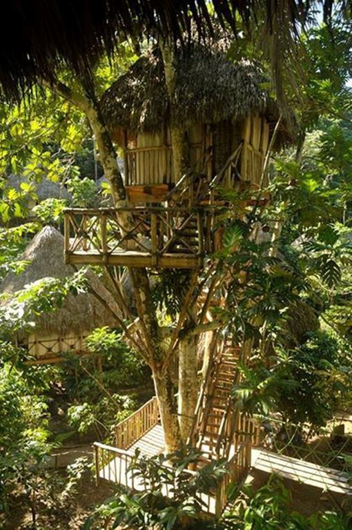 Dominican Tree House Village Santa Barbara De Samana Εξωτερικό φωτογραφία