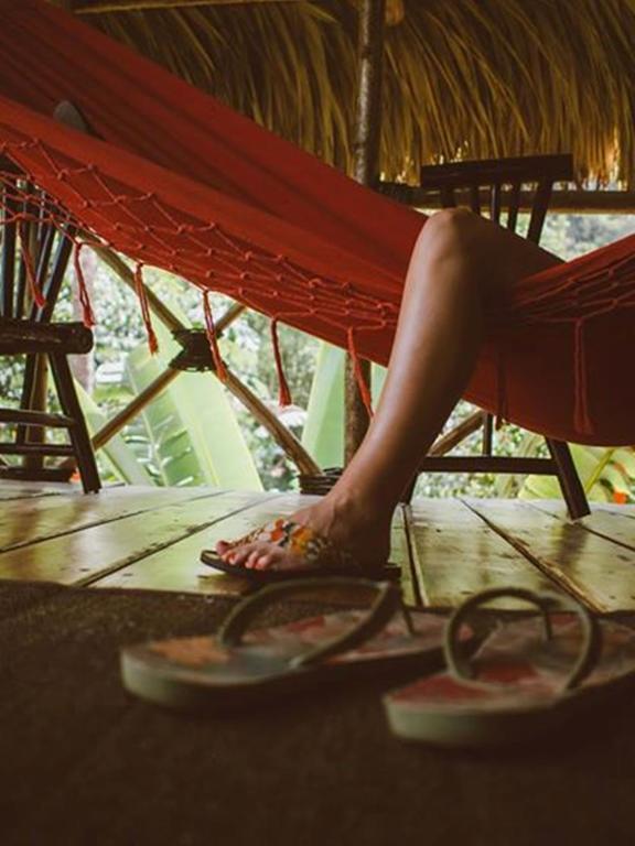Dominican Tree House Village Santa Barbara De Samana Εξωτερικό φωτογραφία