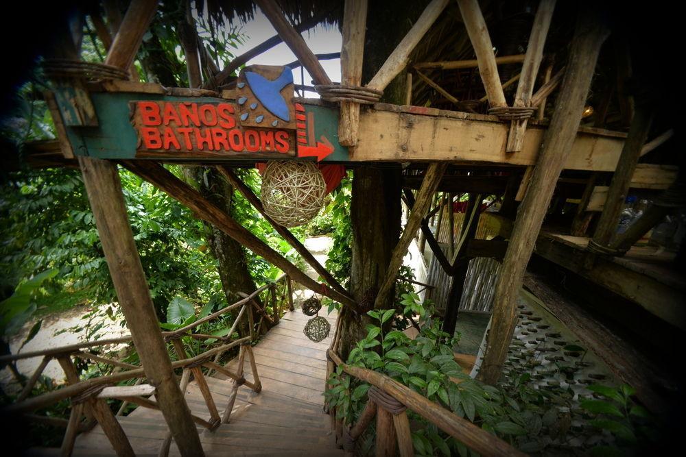 Dominican Tree House Village Santa Barbara De Samana Εξωτερικό φωτογραφία