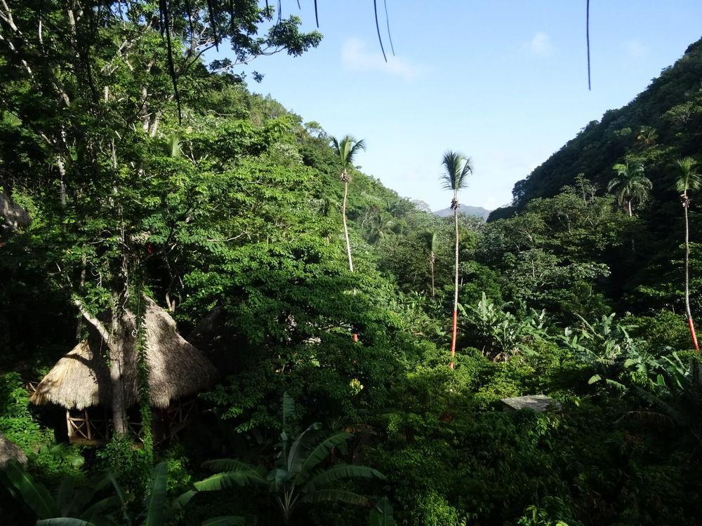Dominican Tree House Village Santa Barbara De Samana Εξωτερικό φωτογραφία
